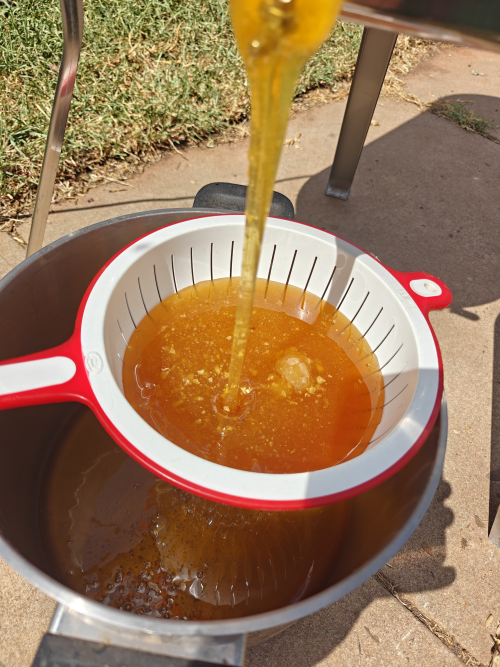 Honey Extraction