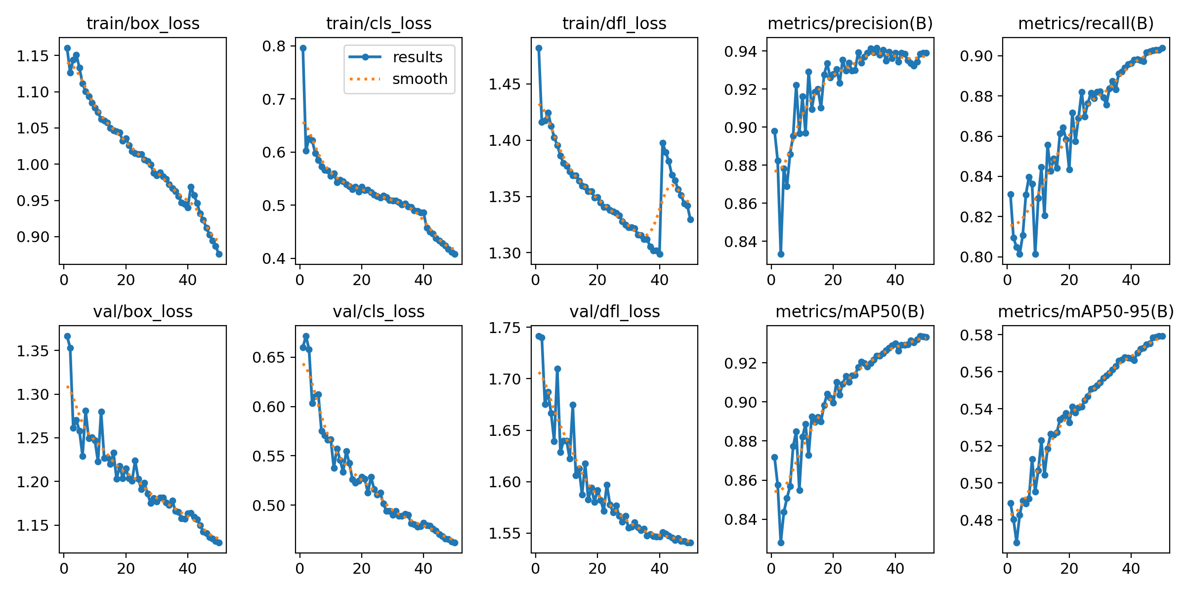 YOLOv11 training results over 100 epochs