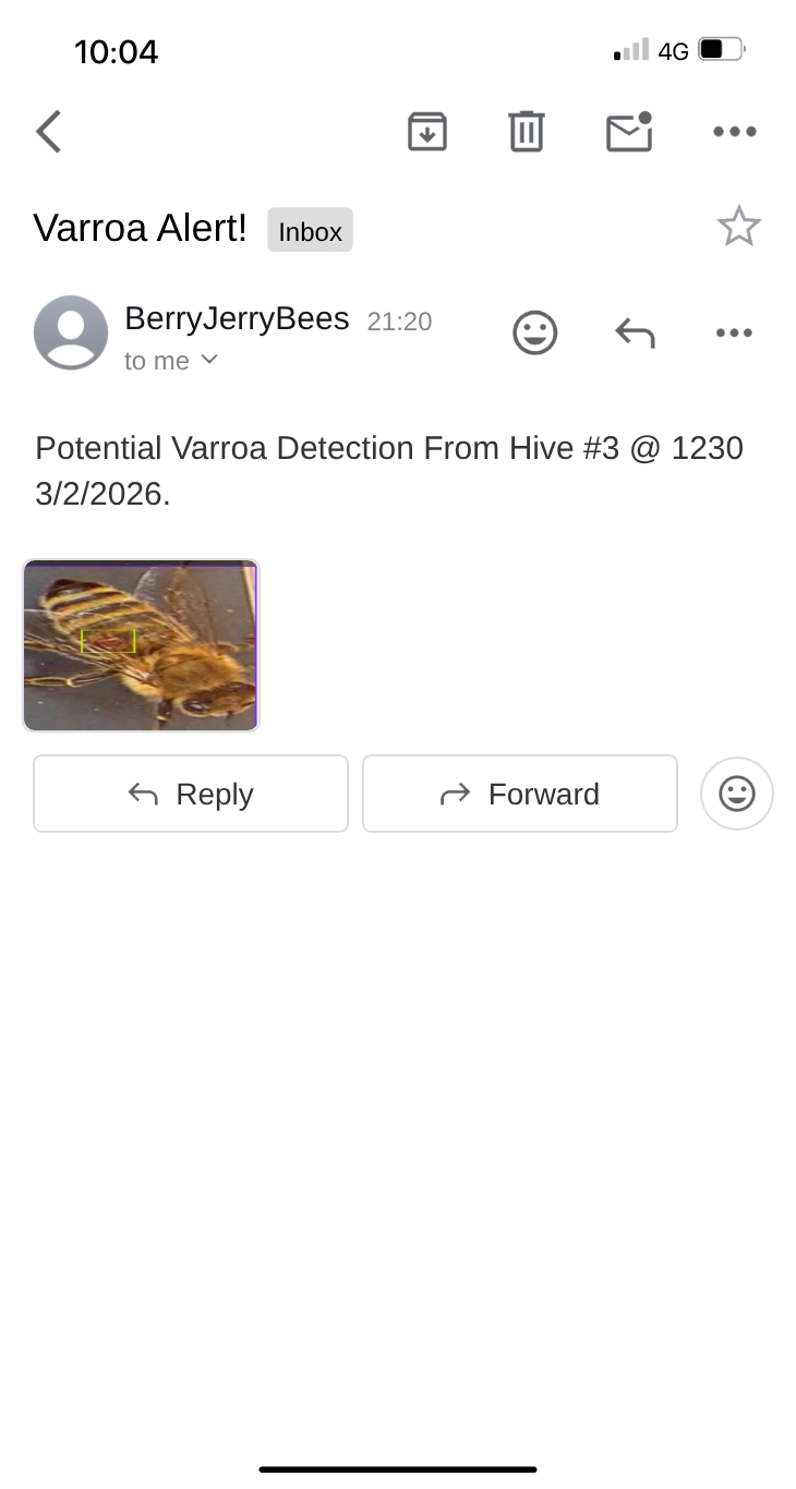 Email alert screenshot